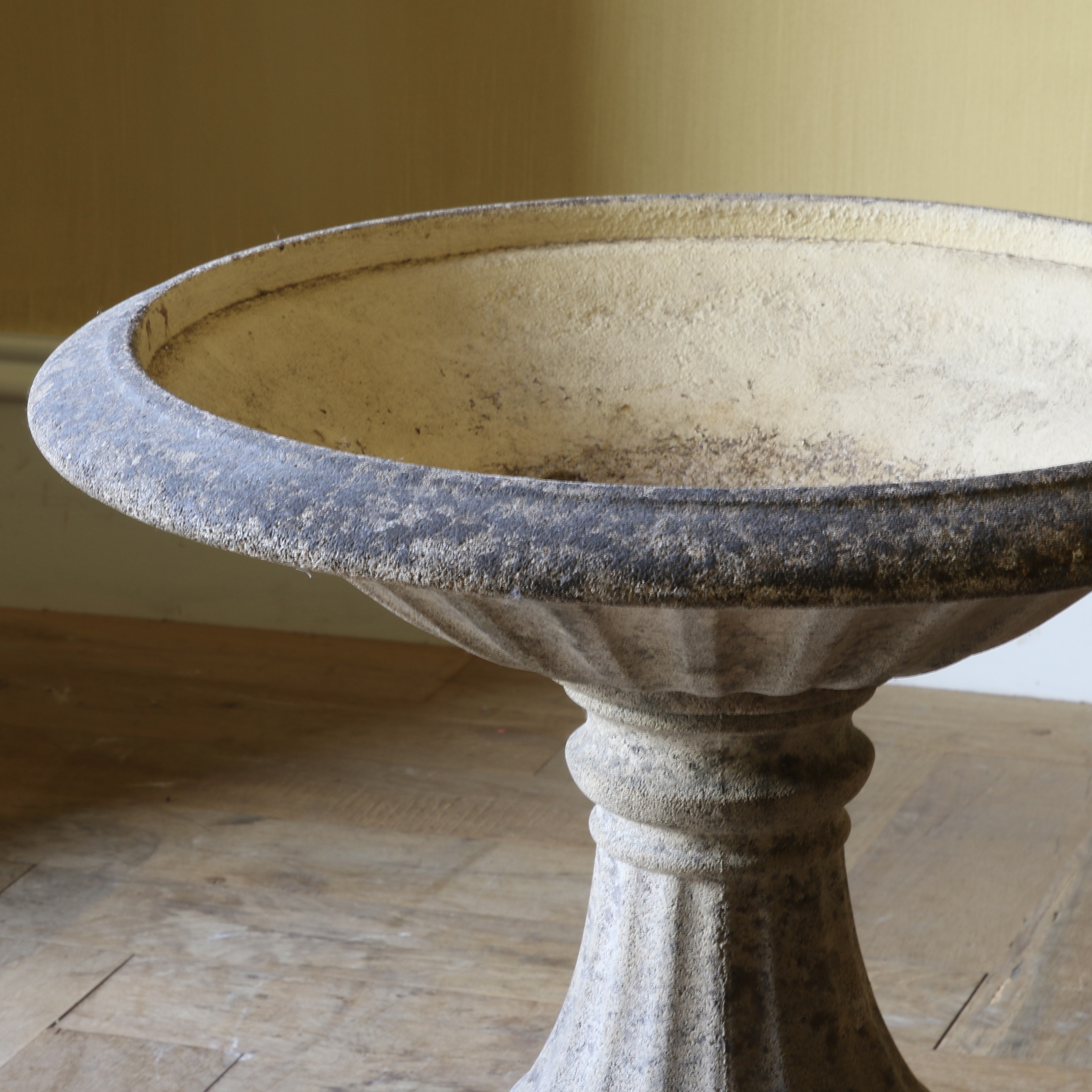 Bird Bath
